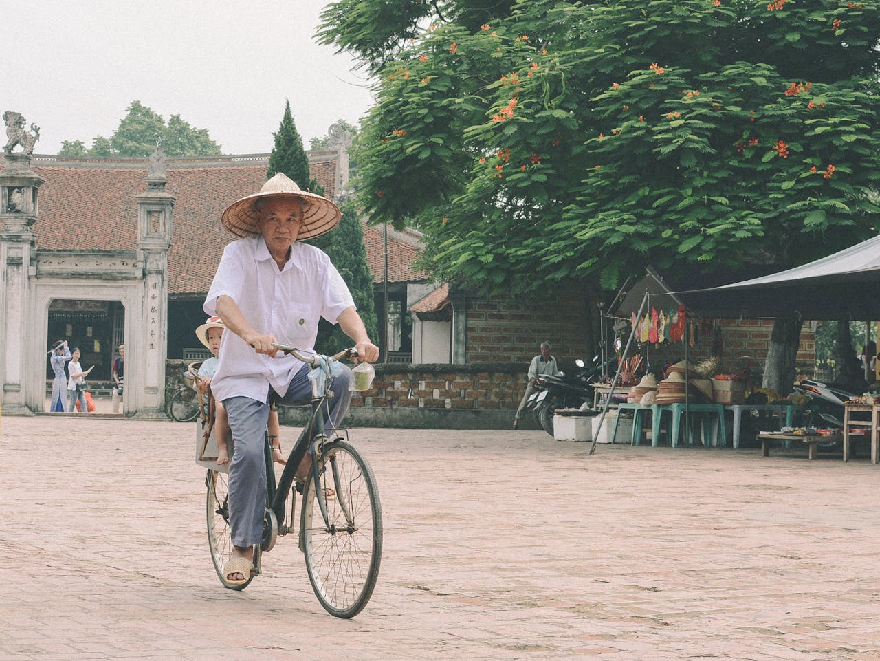 Capture the authentic charm of Vietnam’s lush scene